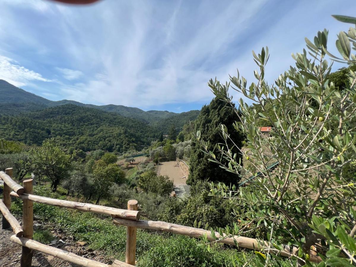 Agriturismo Torsivi Castiglione Chiavarese Eksteriør billede