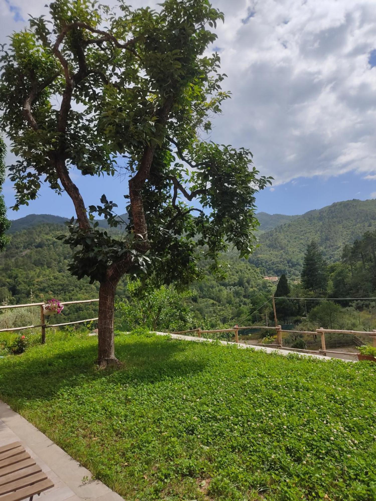Agriturismo Torsivi Castiglione Chiavarese Eksteriør billede